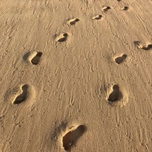 Meet your Posher, Dave